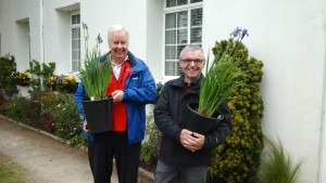 Plant Sale